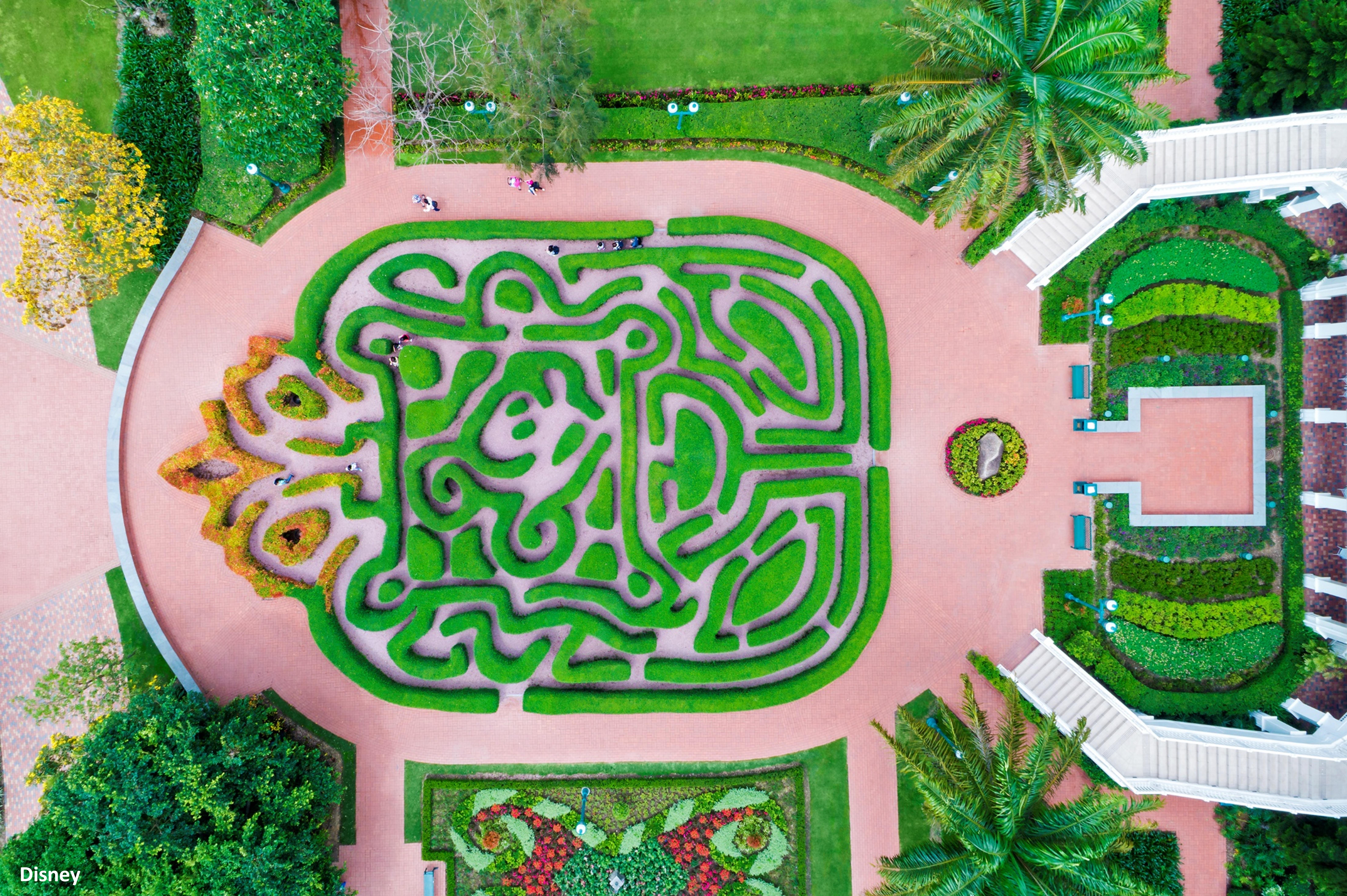 โรงแรม Hong Kong Disneyland 5*